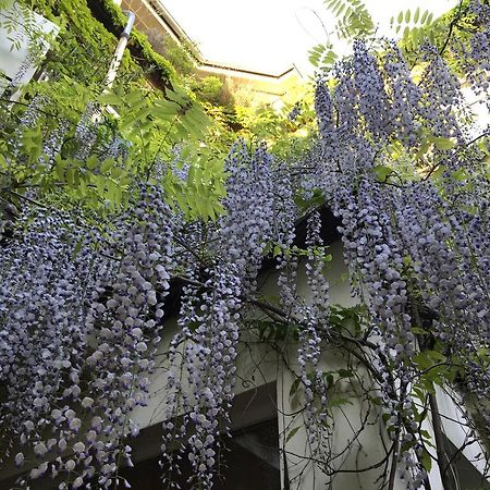 Hotel Wiener Kindl Εξωτερικό φωτογραφία