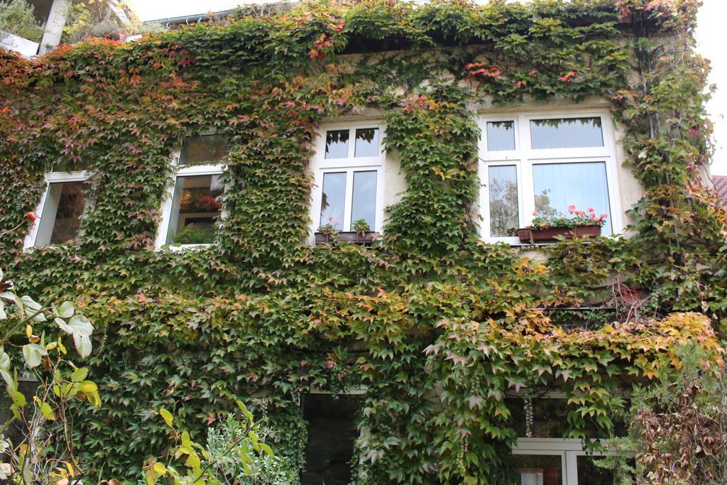 Hotel Wiener Kindl Εξωτερικό φωτογραφία