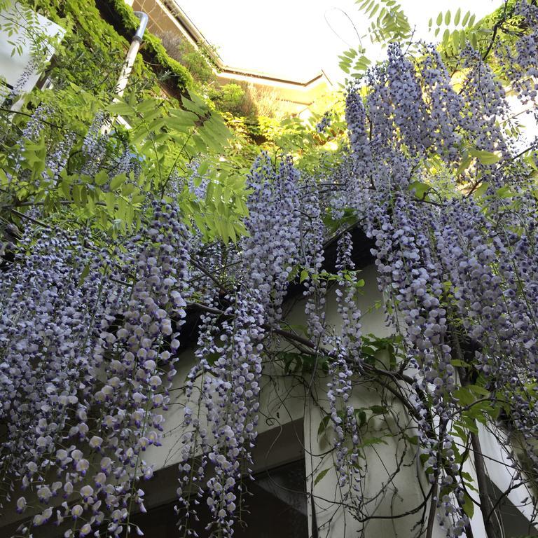 Hotel Wiener Kindl Εξωτερικό φωτογραφία